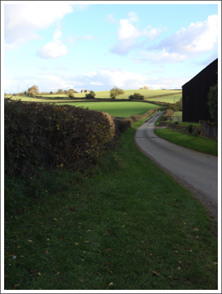 Wyke Lane