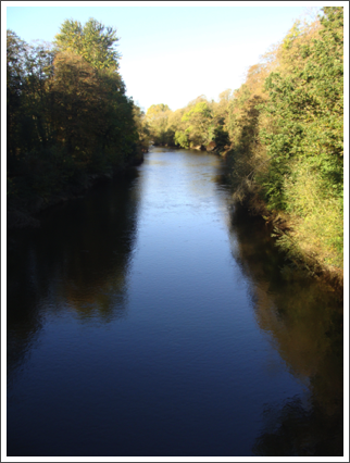 The Severn, North from the A4169 bridge