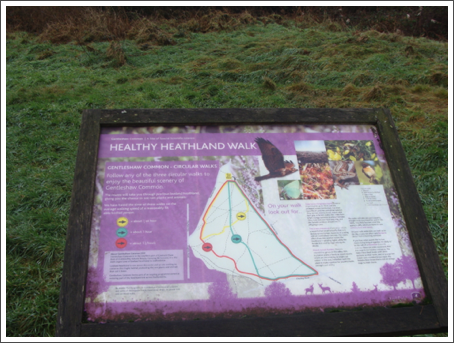 Gentleshaw Common