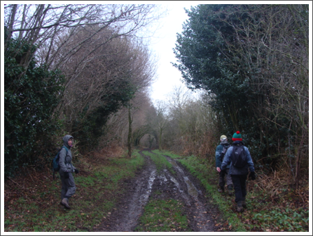 Green Lane?