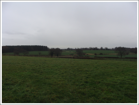 Ashmore Brook Valley