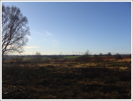 Gentleshaw Common