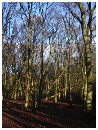 Down to Watery Lane