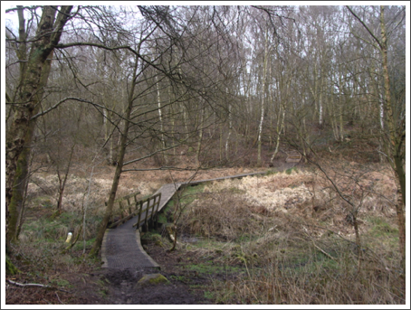 The boardwalk, Foremark