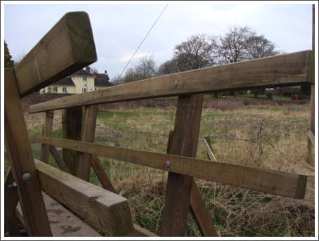 Directors' bridge