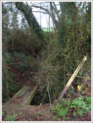 Found, bridge of the day