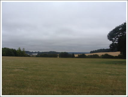North from Weeford Park
