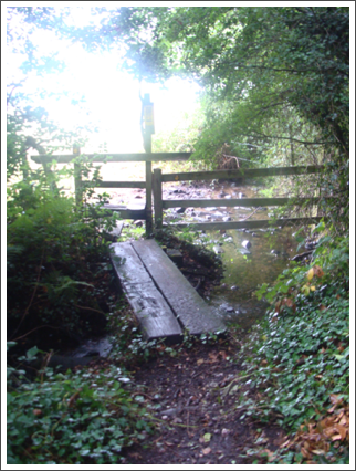 Pont de jour (Manley Wood)
