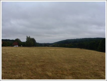 Towards Millditch Wood