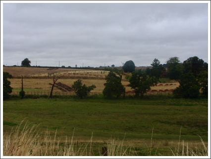 HS2 test trenches?