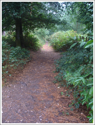 Knox's Grave Lane