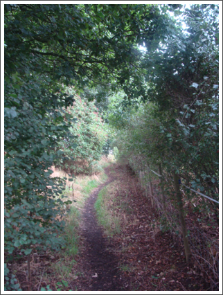 Passing Horsley Brook Farm