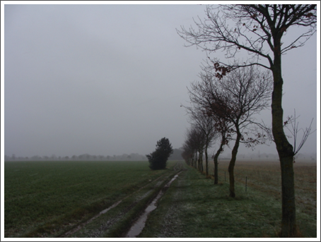 To Freeford Home Farm