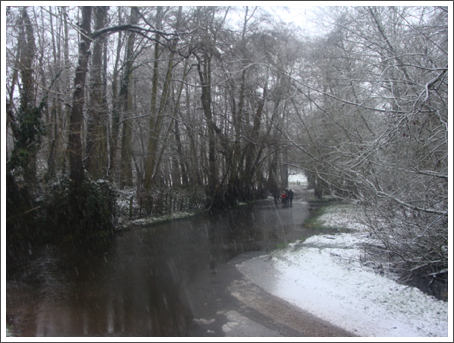Rookery Lane Ford