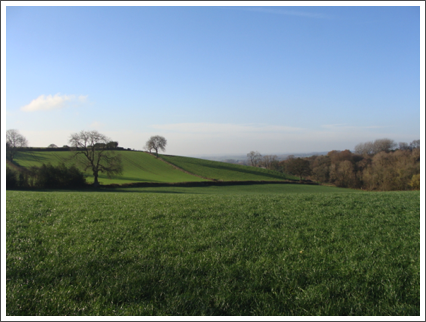 Lush free hillsides