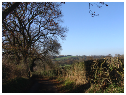 Marlpit Lane