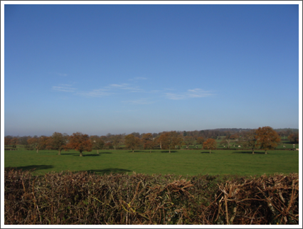 Cullamoor fields