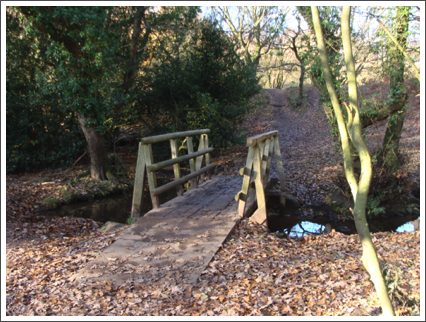 Downs Banks Bridge